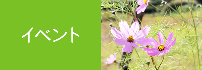 イベント