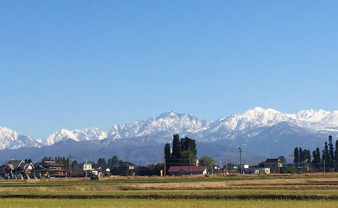 ご予約・お問い合せ